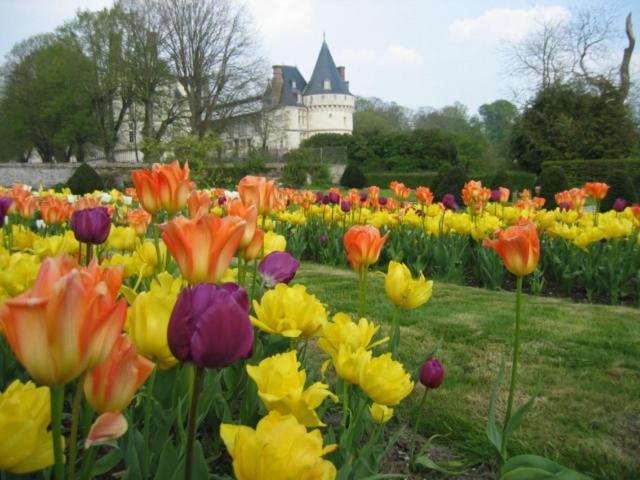 Le Refuge De Normandie Avec Spa Et Cheminee Mesnieres-en-Bray Eksteriør bilde